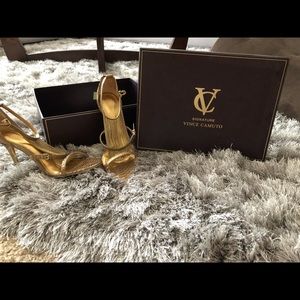 New Gold Daylight Snake